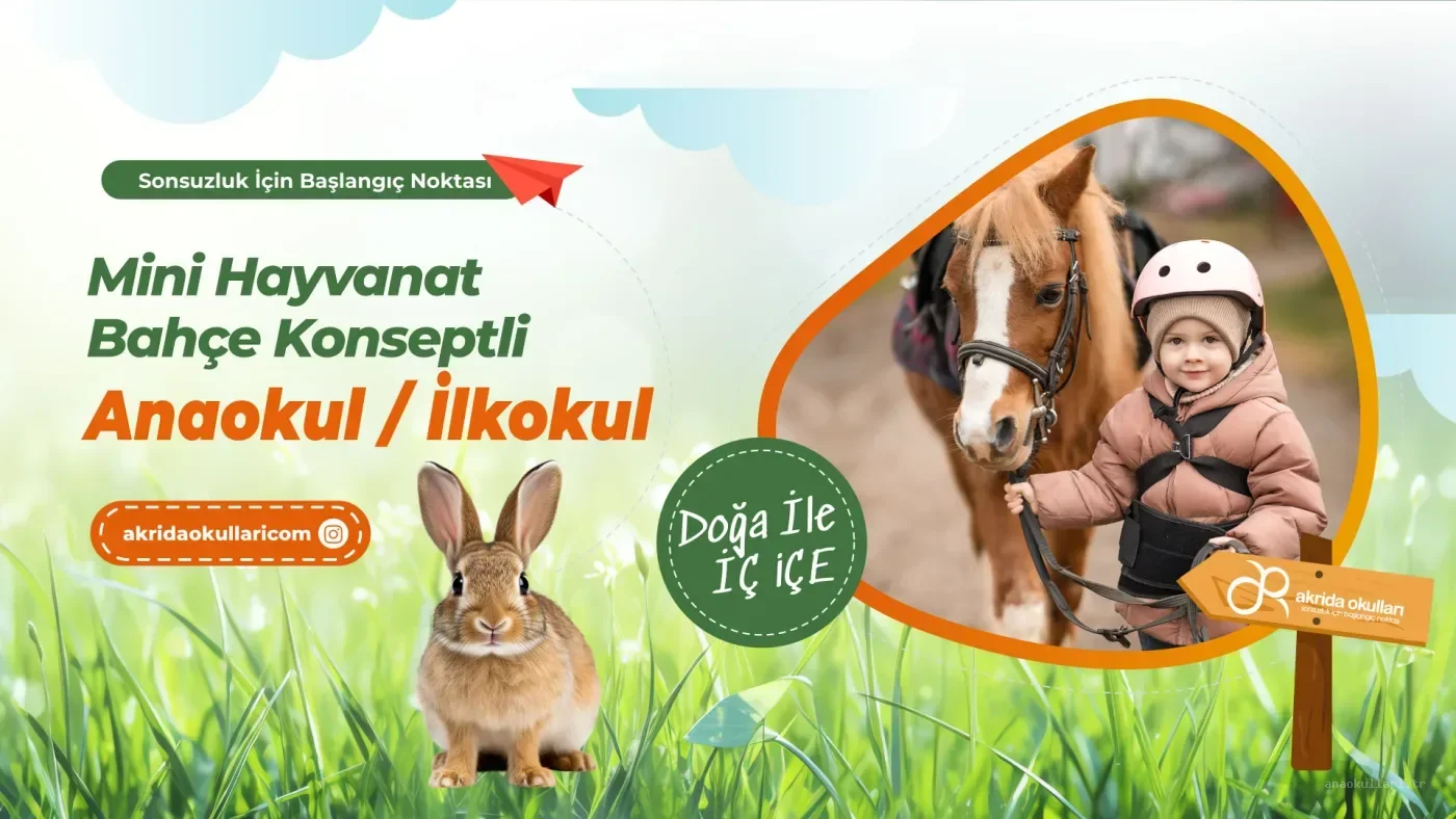 Bursa Ozel Akrida Anaokulu